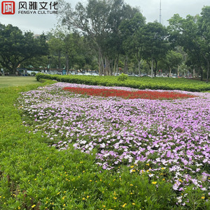 欧美一区一区二区无码人妻
